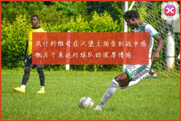 武什科维奇在汉堡主场告别战中感慨万千表达对球队的深厚情感